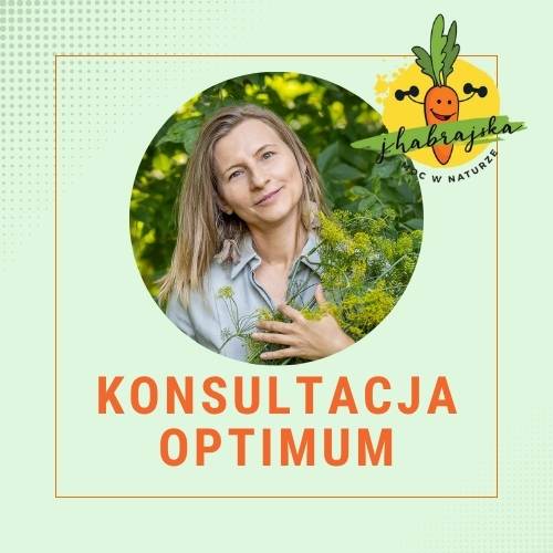 Konsultacja Optimum